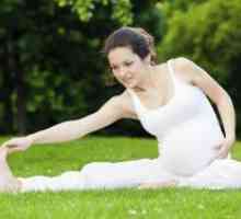 Fitness pentru femei gravide - 1 pe termen