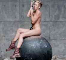 Photoshoot Miley Cyrus 2013