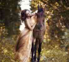 Photoshoot cu cai