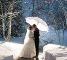 Nunta de iarna Photoshoot