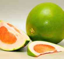 Fructe pomelo: proprietăți utile, calorica, beneficii si rau