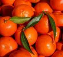 Hibrid de portocale și mandarine