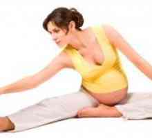 Gimnastica pentru femei gravide - 2 trimestru
