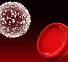 Glicozilate hemoglobinei - norma