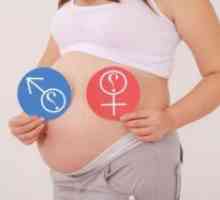 Hormonii în timpul sarcinii