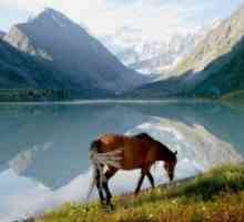 Munții Altai - Atracții