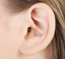 Ciuperca în urechi - tratament
