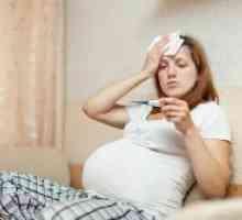 Gripa în timpul sarcinii