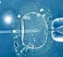 Eclozare embrioni