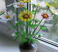 Chrysanthemum șirag de mărgele - Master class