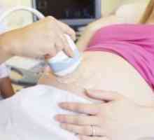 Incompetenta cervicala in timpul sarcinii