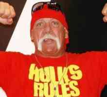 Din cauza video scandalos Hulk Hogan a devenit mai bogat cu 140 de milioane de