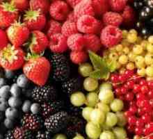 Dieta Fructe de padure