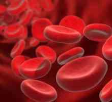 Celule sanguine roșii din sânge - norma