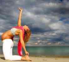 Yoga pentru femeile gravide: 1 trimestru
