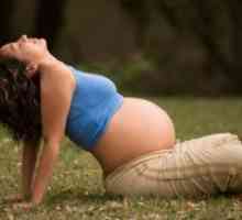 Yoga pentru femeile gravide: 2 trimestru