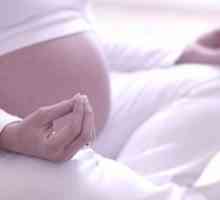 Yoga pentru femeile gravide: Hatha Yoga video,