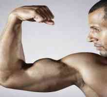 Cum de a pompa rapid biceps acasă?