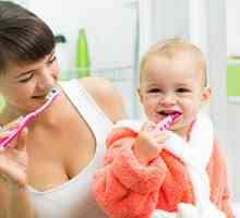 Cum se curata dintii copilului