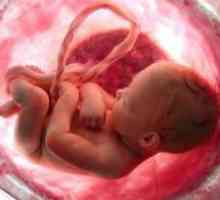 Pe măsură ce copilul respiră în uter?