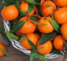 Cum se păstrează mandarinele?