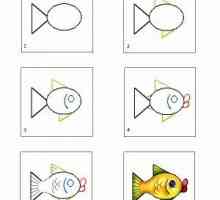 Cum să atragă un pește?