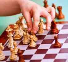Cum de a preda un copil să joace șah?