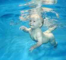 Cum să învețe un copil să înoate?