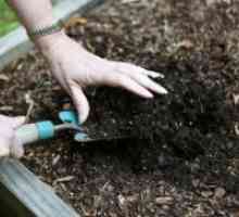 Cum de a dezinfecta solul din grădină?