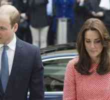 Kate Middleton, Prințul William și Harry a vizitat Parcul Olimpic
