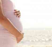 Cum de a crește imunitatea în timpul sarcinii?