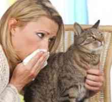 Cum sunt alergic la pisici?