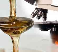 Cum de a verifica pentru miere naturală?