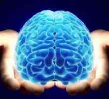 Cum de a dezvolta creierul este de 100 la suta?