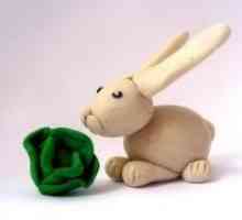Cum de a sculpta la Hare plastilină?