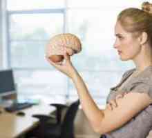 Cum de a instrui creierul?