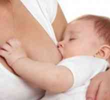 Cum de a îmbunătăți laptele matern lactație?