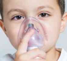Cum de a alege un inhalator pentru copilul tau?