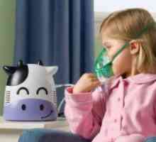 Cum de a alege un inhalator?