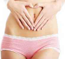 Ce este colul uterin?