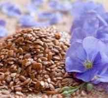 Cum se prepara semințe de in pentru pierderea in greutate?