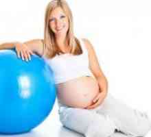 Ce exercitii pot face gravidă?