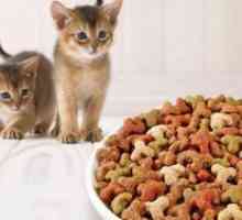 Care este cel mai bun hrana uscata pentru pisici?