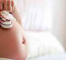 Chisturi ovariene și a sarcinii