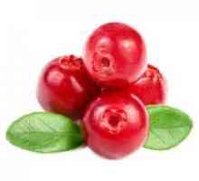 Cranberry - proprietăți medicinale
