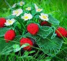 Strawberry șirag de mărgele
