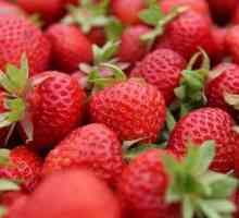 Strawberry Sarcina - 3 Trimestru