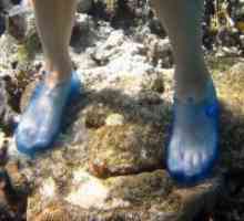 Papuci de corali