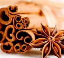 Cinnamon - proprietăți utile