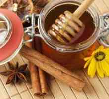 Scorțișoară și miere - proprietăți utile și contraindicații